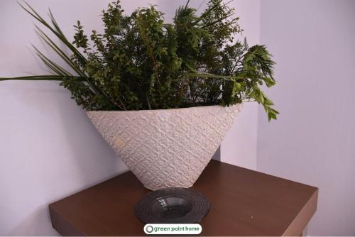 a vase with a plant sitting on a table at Green Point Home Chios in Vrontados