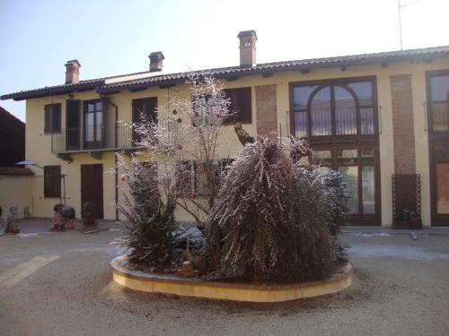 a house with a tree in front of it at Al Calar Della Sera in Sommariva del Bosco