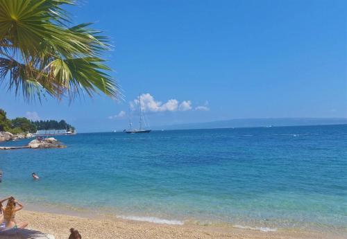 a beach with a palm tree and a boat in the water at Guest House Varos in Split