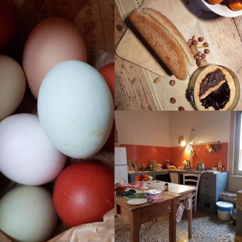 a collage of photos with eggs and a table at Capannacce Organic and Horse Farm in Rapolano Terme