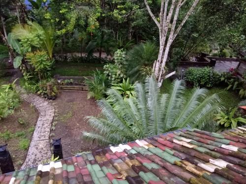 a garden with a table and a palm tree at Mi Casa - The gem of Ijen in Banyuwangi