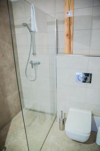 a bathroom with a toilet and a glass shower at Gregory House in Prague
