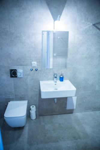 a bathroom with a sink and a toilet and a mirror at Gregory House in Prague