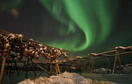 Gambar di galeri bagi Lofoten - Høynes di Bøstad