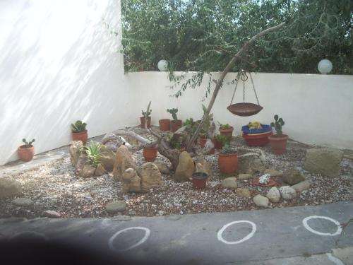 Gallery image of Skyros Koxilas Studios in Skiros