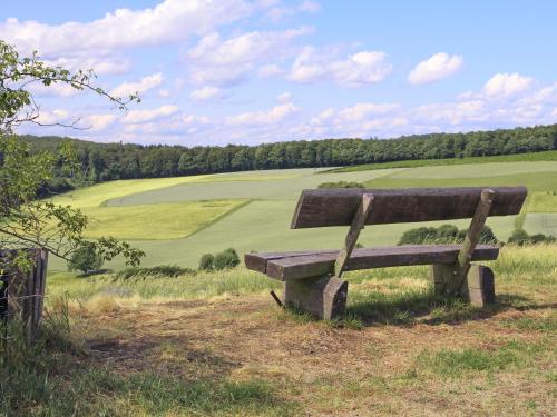 a wooden bench sitting on top of a field at Hotel Landgasthof Gemmer in Rettert