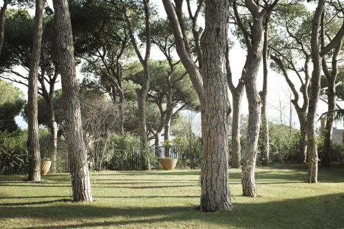 a group of trees in a field of grass at Hotel Al Bustan in Beit Meri