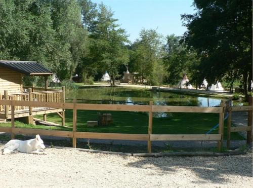 a white dog laying on the ground next to a fence at Etangs du Moulin in Suzy