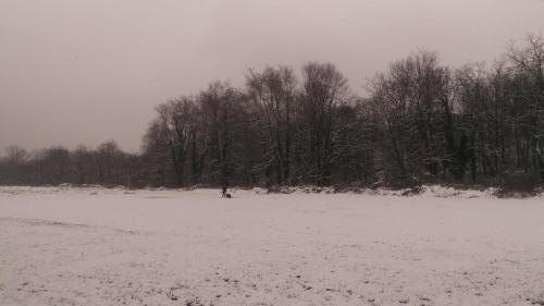a person is standing in a snow covered field at Hotel Del Parco in Vigevano