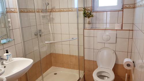 a bathroom with a toilet and a sink and a shower at Laci Apartman in Zalakaros