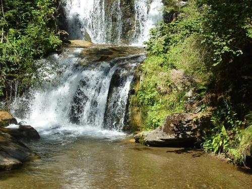 a waterfall in the middle of a river at Urlaub am Bauernhof Gänser in Sankt Peter am Kammersberg