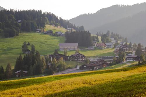 a small village on a hill with a yellow field at Hotel Arvenbüel in Amden