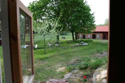 Κήπος έξω από το Ahornfarm Håkannäs