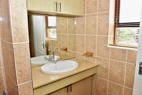 a bathroom with a sink and a mirror at SJ's Self-Catering in Kuilsrivier