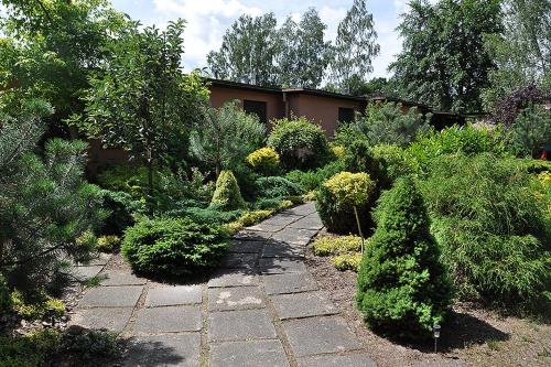 a garden with bushes and a stone walkway at Ośrodek Edward in Mikoszewo