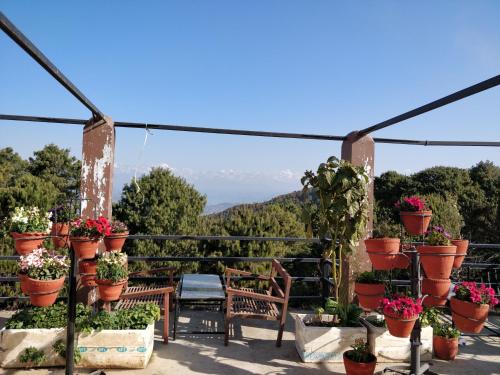 Jardín al aire libre en Langtang View Nagarkot Bed and Breakfast