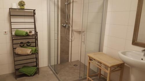 eine Dusche mit Glastür im Bad in der Unterkunft Grüner Wald in Burg Kauper