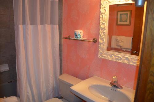 a bathroom with a sink and a toilet and a mirror at Sun Viking Lodge - Daytona Beach in Daytona Beach