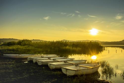 a row of boats sitting in the water at sunset at The Houses of History - anno 1830 in Tihany