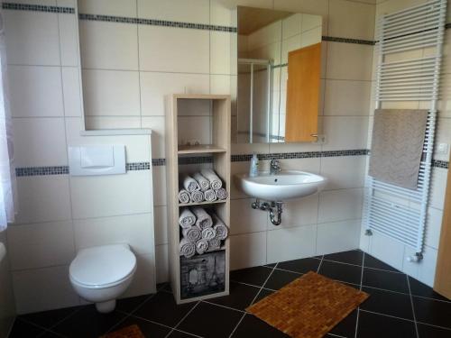 ein Bad mit einem WC und einem Waschbecken in der Unterkunft "Villa Sabine" in Waidhaus