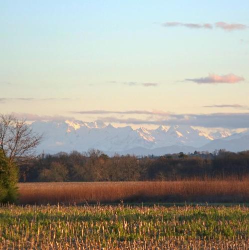 a field with a mountain range in the background at Ranch Bignaou in Amou