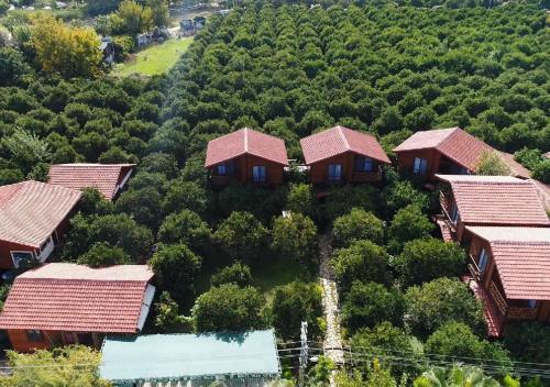 an aerial view of a group of houses on a hill at Bahçe Villa in Cıralı