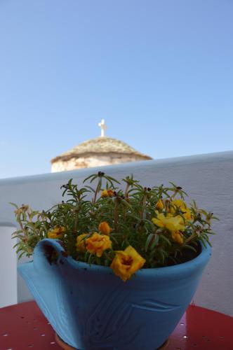 a blue bowl filled with flowers on a table at Stella's traditional house. in Alonnisos Old Town