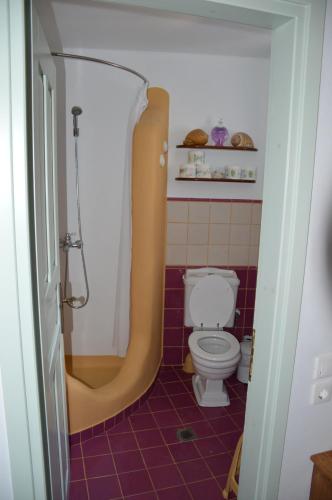 a bathroom with a shower and a toilet at Stella's traditional house. in Alonnisos Old Town
