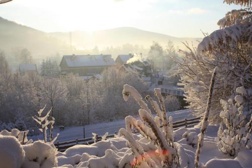 a snow covered yard with trees and houses at Dom na Klonowym Wzgórzu in Stronie Śląskie