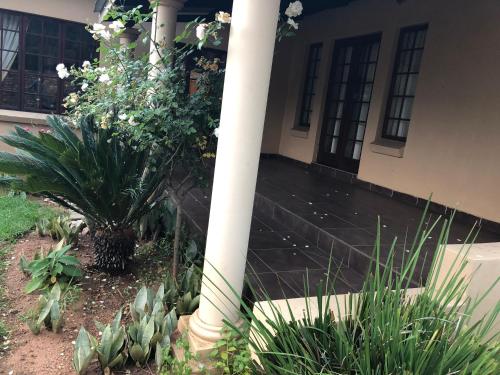 Taman di luar Sunrise Boutique Hotel