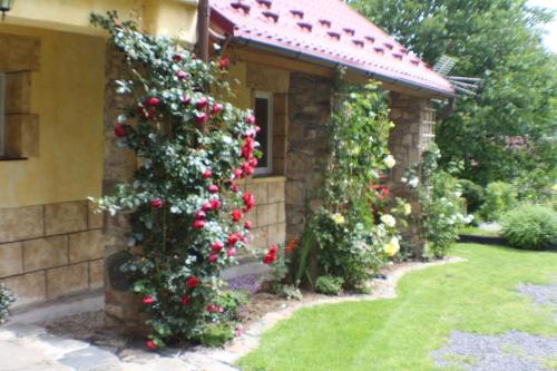 a garden with roses on the side of a house at Dom na Klonowym Wzgórzu in Stronie Śląskie