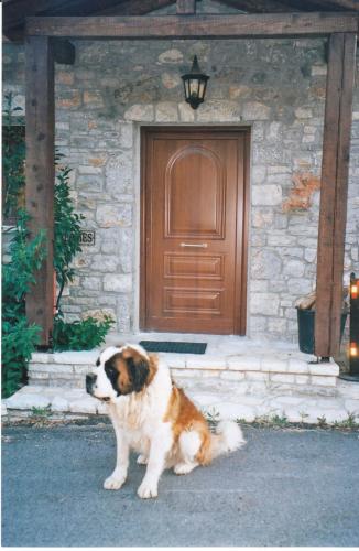a brown and white dog sitting in front of a door at Georgio's V Chalet Kalavrita in Kalavrita