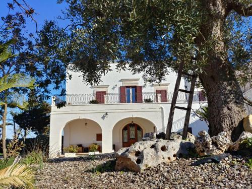 una casa bianca con un albero davanti di Masseria Peppeturro a Cisternino