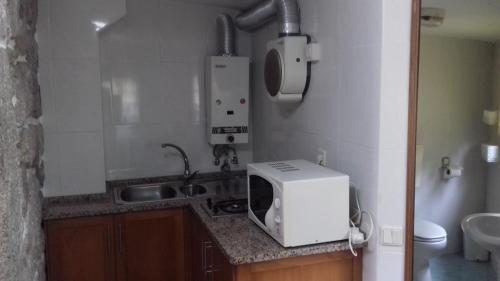 a kitchen with a sink and a microwave on a counter at Residencial Retiro Sra. da Luz in Ponte de Lima