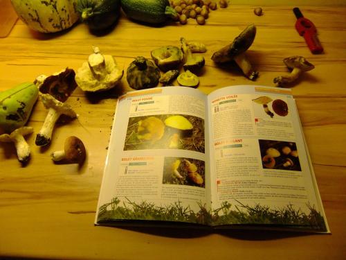 an open book on top of a table with vegetables at Chambres d'Hôtes Le Foursou in Le Bouyssou