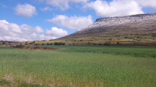a green field with a mountain in the background at Hotel Rural Grado del Pico in Grado del Pico