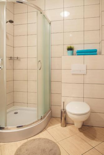 a bathroom with a toilet and a glass shower at Paradise in Charzykowy