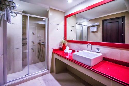 uma casa de banho com um lavatório e um chuveiro em Kouros Hotel em Drama