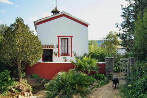 a black dog standing in front of a small house at Casa Montecote Eco Resort in Vejer de la Frontera