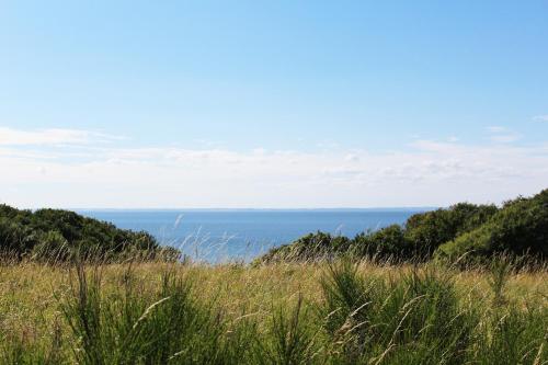 a field of grass with the ocean in the background at Oasen Samsø in Nordby