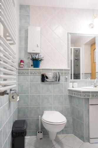 a bathroom with a toilet and a sink and a mirror at Villa Vitalis in Muszyna