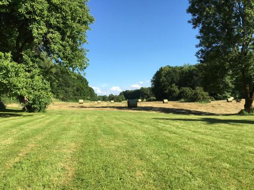 a large grass field with hay bales in the distance at Hotel in der Mühle in Werdau