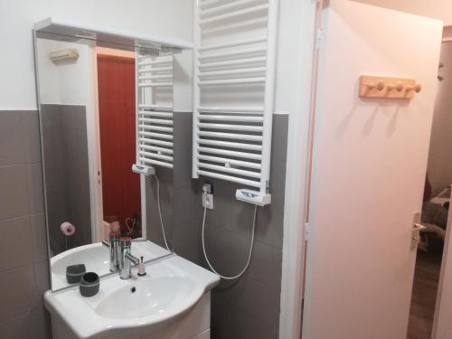 a bathroom with a sink and a mirror at Le Cosy in Thonon-les-Bains