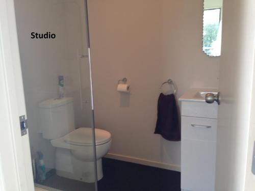 a small bathroom with a toilet and a sink at Silverdale Garden Studio in Orewa