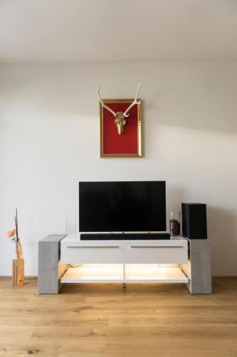Μια τηλεόραση ή/και κέντρο ψυχαγωγίας στο Apartment Villa Rigoletto