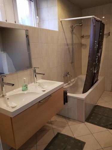 a bathroom with a sink and a shower and a tub at Ferienwohnung Alte Linde in Hardheim