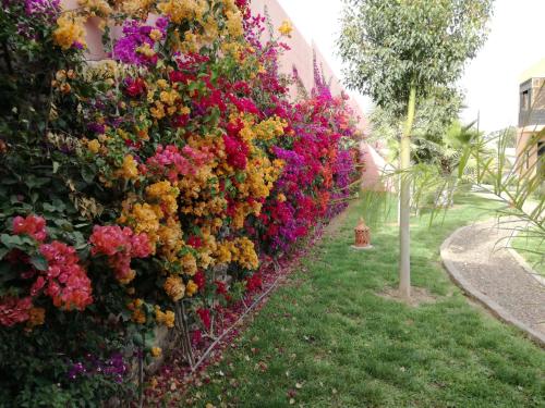 un mur de fleurs sur le côté d'un bâtiment dans l'établissement Riad Asmaa Agadir, à Agadir