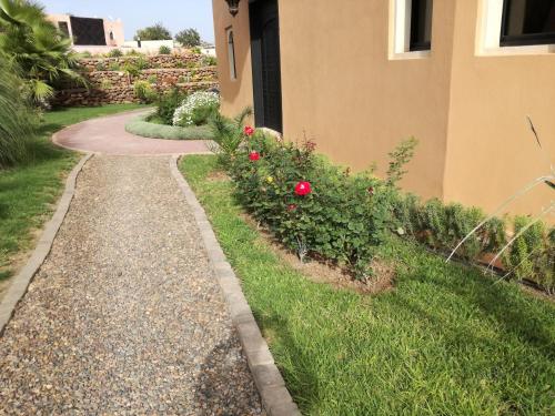 Zahrada ubytování Riad Asmaa Agadir