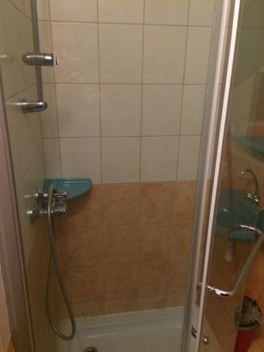 W łazience z przeszklonymi drzwiami znajduje się prysznic. w obiekcie János-tó w mieście Gávavencsellő