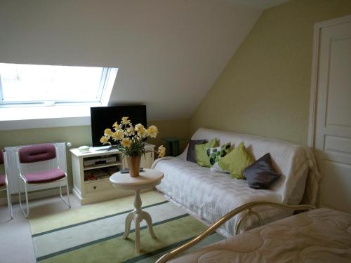 a living room with a couch and a tv at Le Jardin Fleuri in Ploemel